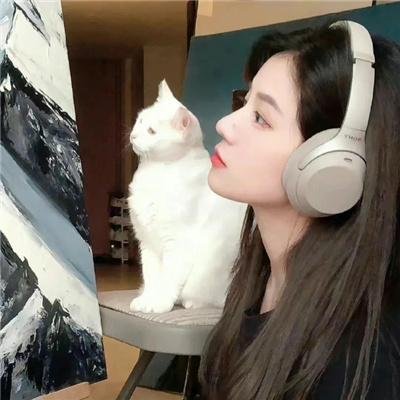摇滚派对
