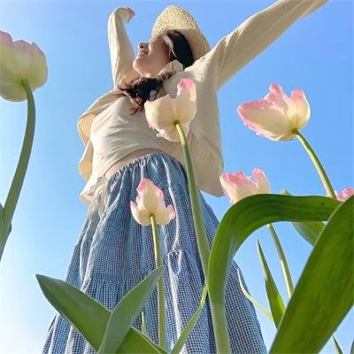 渡轮北部